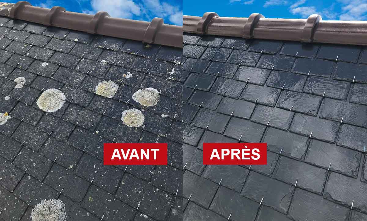 Nettoyage toiture - SAFE TOITURE artisan couvreur en Belgique : Région Flamande, Wallonne, Bruxelles ... : Nettoyage toiture, démoussage anti mousse toit. Traitement peinture hydrofuge toiture. Intervention en Belgique : Région Flamande, Wallonne, Bruxelles ...